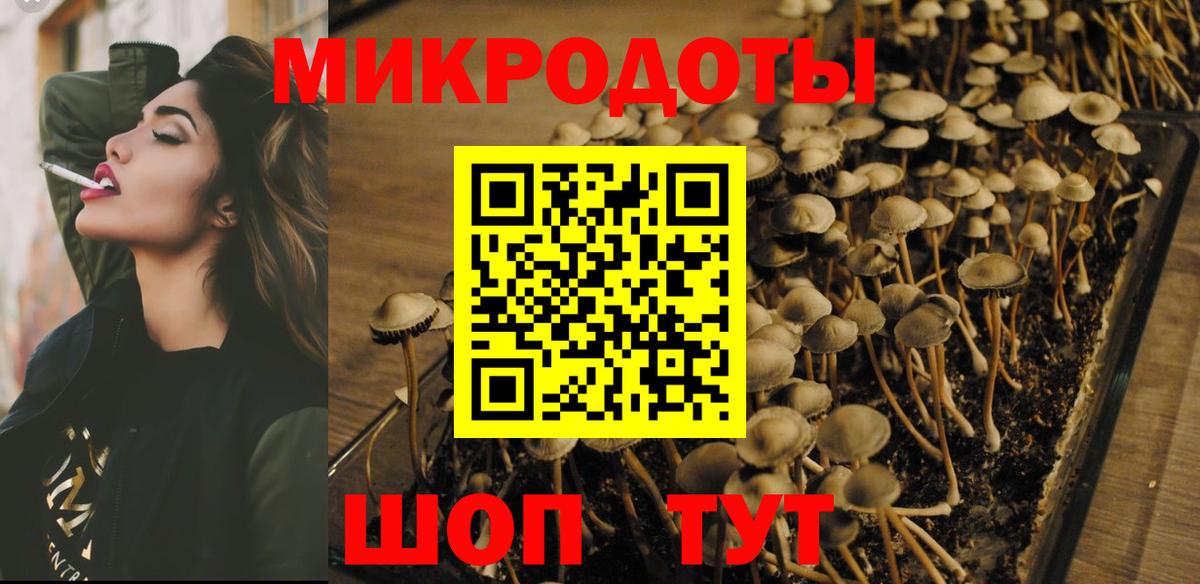 Галлюциногенные грибы мицелий Нижнекамск